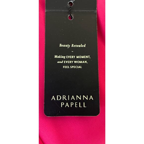 NWT Adrianna Papell Sz 8 Chiffon Lace Overlay Fit N Flare Dk Pink Zip Drop Waist - Picture 9 of 16